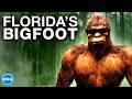 Bigfoot documentary  searching for skunk ape  full movie