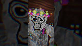 Día 5 @fexjex #gorillatag #edit # viral #fexjex