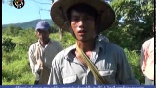 DVB -06-11-2014 ပြင့္ျဖဴအုပ္ေရးမွဴး အဓမၼသိမ္းယူမႈ သူတုိ႔ေျပာစကား