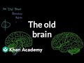 Understanding the Brain: Structure and Function