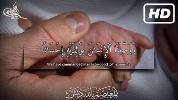 🎧 {وَوَصَّيْنَا الْإِنسَانَ بِوَالِدَيْهِ إِحْسَانًا} | تلاوة مؤثرة | د. المعتصم بالله دبش