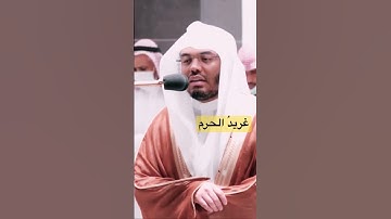 ويوم يعضُ الظالم على يديه"تلاوة باكية💔#غريد_الحرم #ياسر_الدوسري #القرآن_الكريم