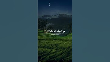وكان الله غفورا رحيما  #quran #القرآن_الكريم #راحة_نفسية #تلاوة_خاشعة #اكسبلور