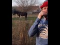 " Sleep Horsey, Sleep " 4 #harmonica #cows #horse #countryside  #humor #funny #entertainment
