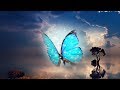 Peaceful Relaxing Instrumental music, Piano soothing Music with birds singing