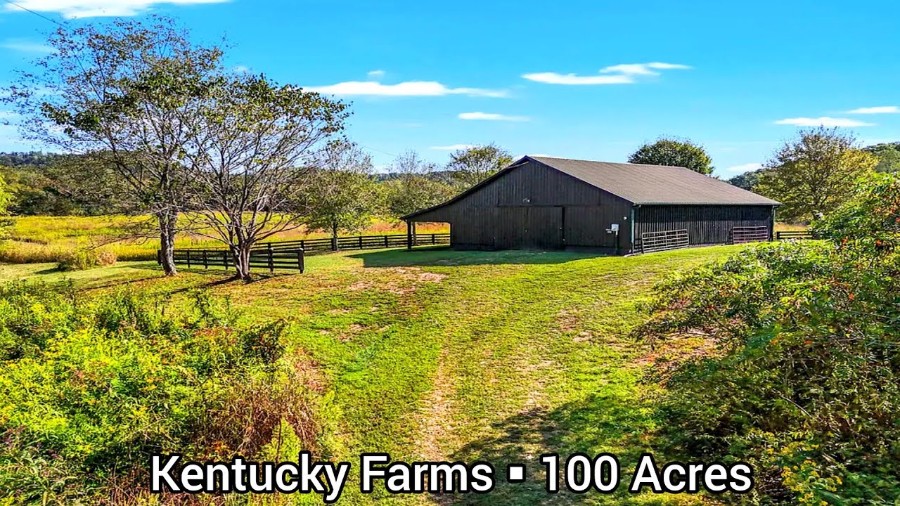 Kentucky Farms For Sale | 100 Acres | Kentucky Land For Sale | Kentucky ...