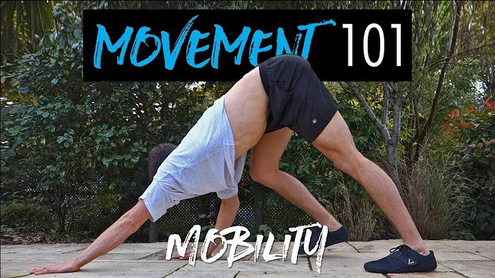 Mobility With Movement | Movement 101