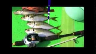 八景・仁丸【楽しいLTアジ五目】20120924
