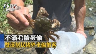 【TVBS】不滿毛蟹被偷雙溪居民堵外來偷蟹客 