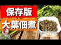 【保存版】大葉（青しそ）実の佃煮作り方 プチプチ食感ご飯が止まらない！