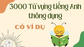 3000 từ vựng tiếng Anh thông dụng có ví dụ | 3000 common English words with examples