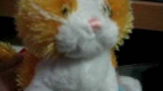 free webkinz account contest (closed)