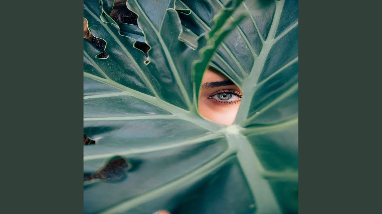 Contemporary Backdrops for Hidden Meditation