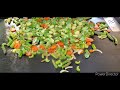 Blackstone Journeys - Veggies for rice! Mmmm!