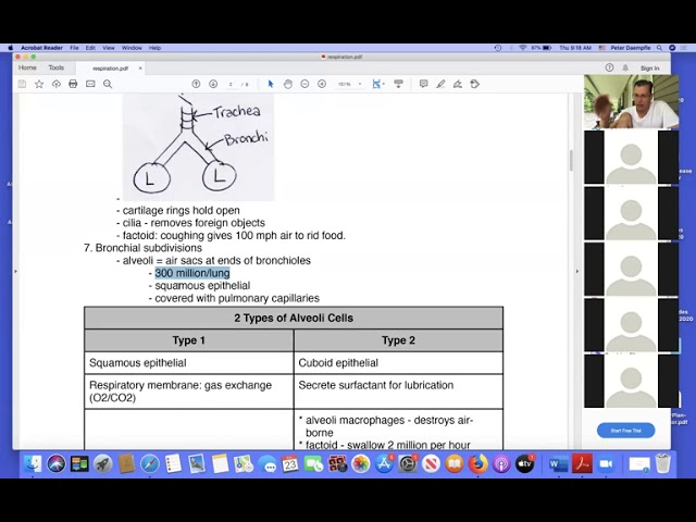 Respiration Lecture