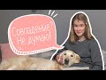 Случайности VS Неслучайности. Как я стала иллюстратором.