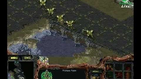 SWL 2010  Jaehoon vs free 2010-03-27  @ Roadrunner