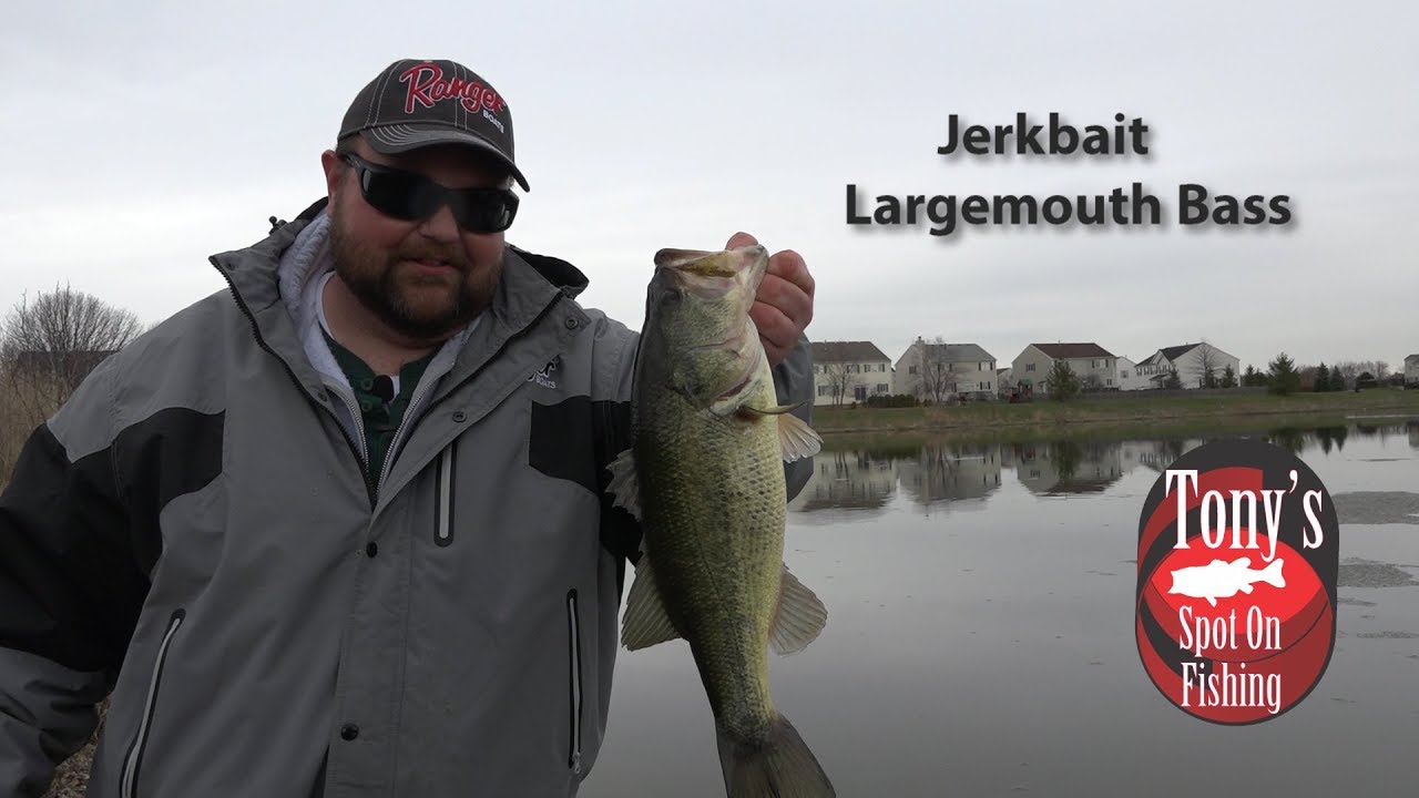 Pre-Spawn Jerkbait Bass