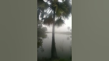 Thumbnail of HeshamAbdul silent Wahab conversation#love​#music​#tarotreading​#nani​#hinanna​ song