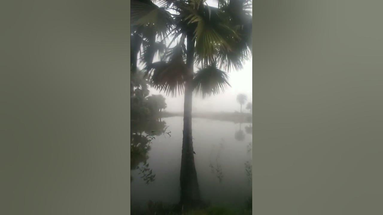 HeshamAbdul silent Wahab conversation#love​#music​#tarotreading​#nani​#hinanna​ song