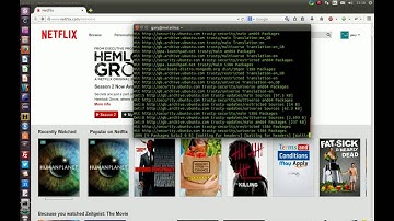 watch netflix on your ubuntu desktop