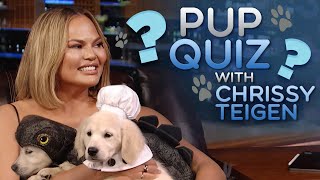 Pup Quiz with Chrissy Teigen | The Tonight Show Starring Jimmy Fallon