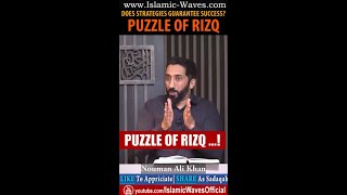 PUZZLE OF RIZQ! Does Strategies Guarantee Success? | Nouman Ali Khan