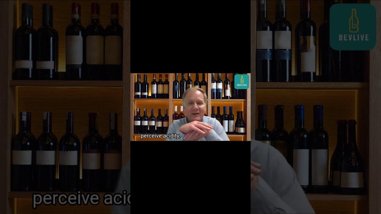 Types of wine glasses 