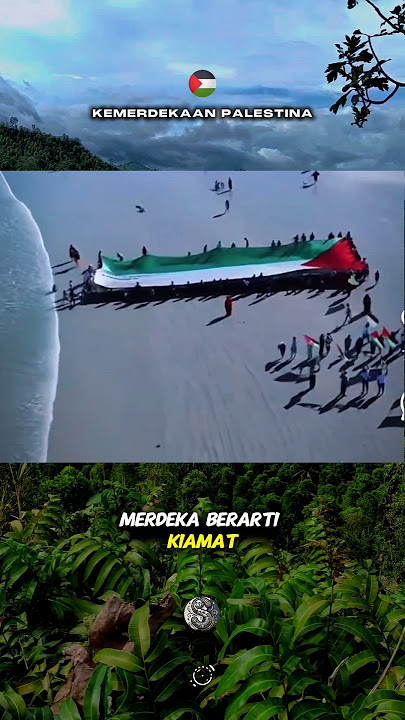 Fakta Dunia || Kemerdekaan Palestina yang ditakutkan oleh sebagian Orang.