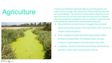 Global Water Resources. Group 2.