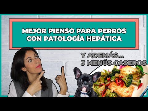 Video: Dietas Para Perros Con Enfermedad Hepática Asociada Al Cobre