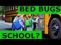 Why Can’t You Keep Bed Bugs Away - True Facts to Elimination with Success - Stop Wasting Money