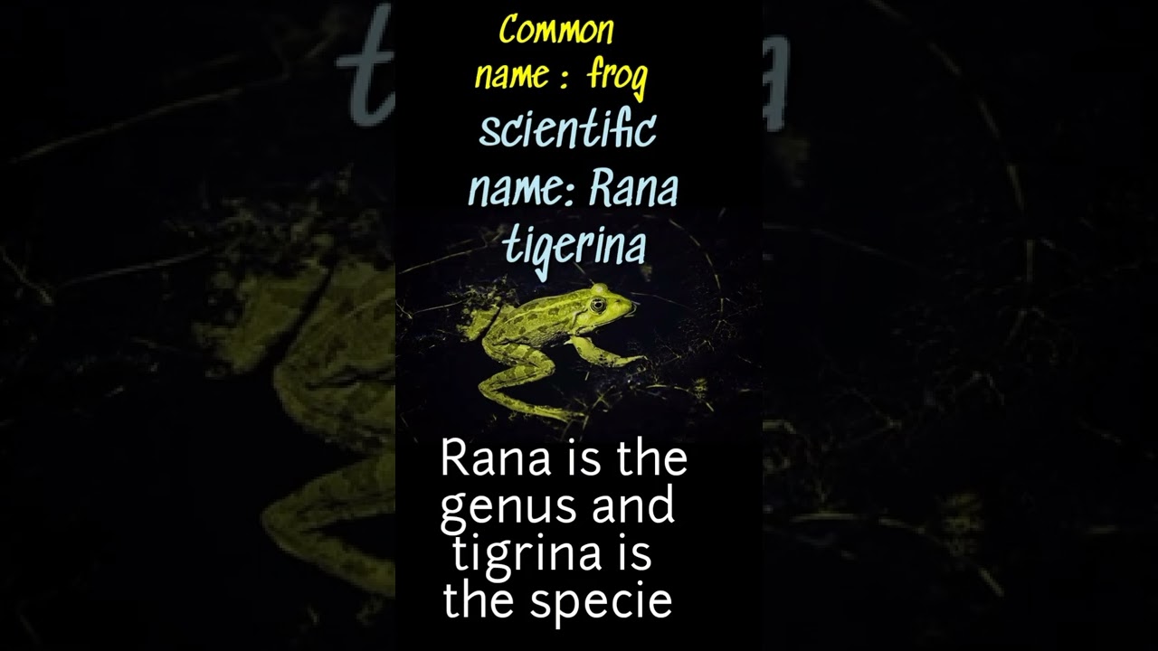 Common name vs scientific name 