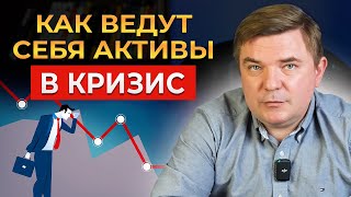 Как защитить активы в кризис 2023? Чему нас учит кризис 2006–2009 годов?