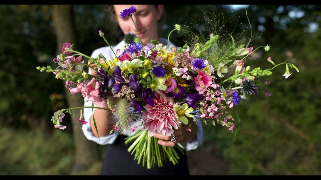 O řebíčku zahradnický - Josef Zoch