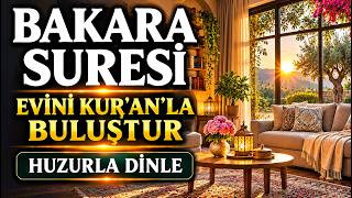 Bakara Suresi | Hane İçi Huzur ve Bereket İçin