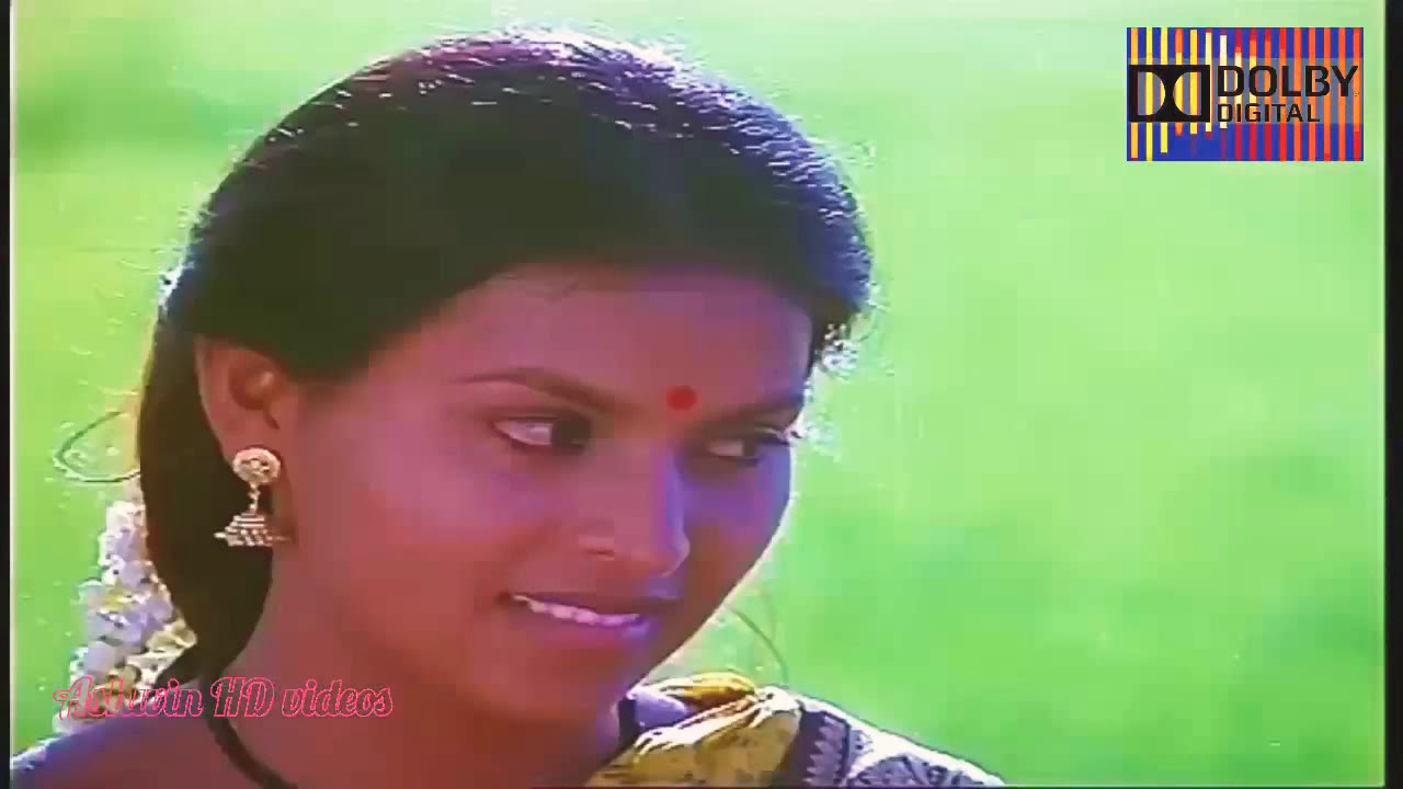 Kuyilu kuppam tamil 51 hd video song  Ilayaraja hits