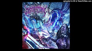 Dysmorfectomy - Sacrificial Mutilation