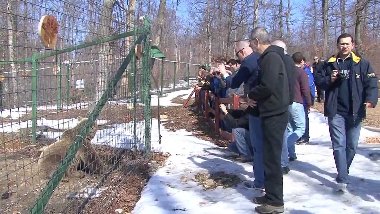 Quad Offroad+Paintball-HD Rasnov Predeal Zarnesti Poiana Brasov camera iphone 8 plus apk