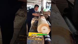 Fabrican Laminas De Madera