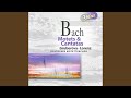 Miniature de la vidéo de la chanson Cantata, Bwv 199 "Mein Herze Schwimmt Im Blut": Vi. Chorale "Ich, Dein Betrübtes Kind"