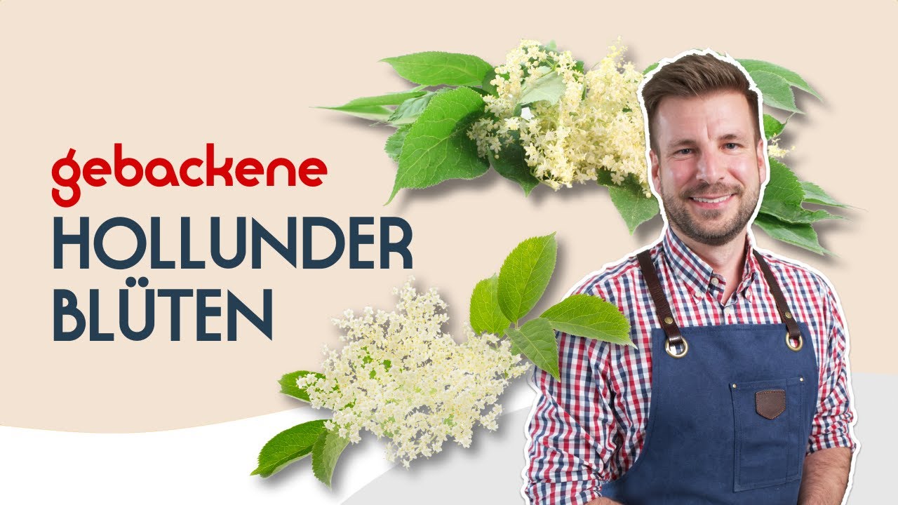 Gebackene Holunderblüten | Einfaches Rezept