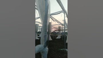 #sunrise #viral #youtubeshorts #india #video #google