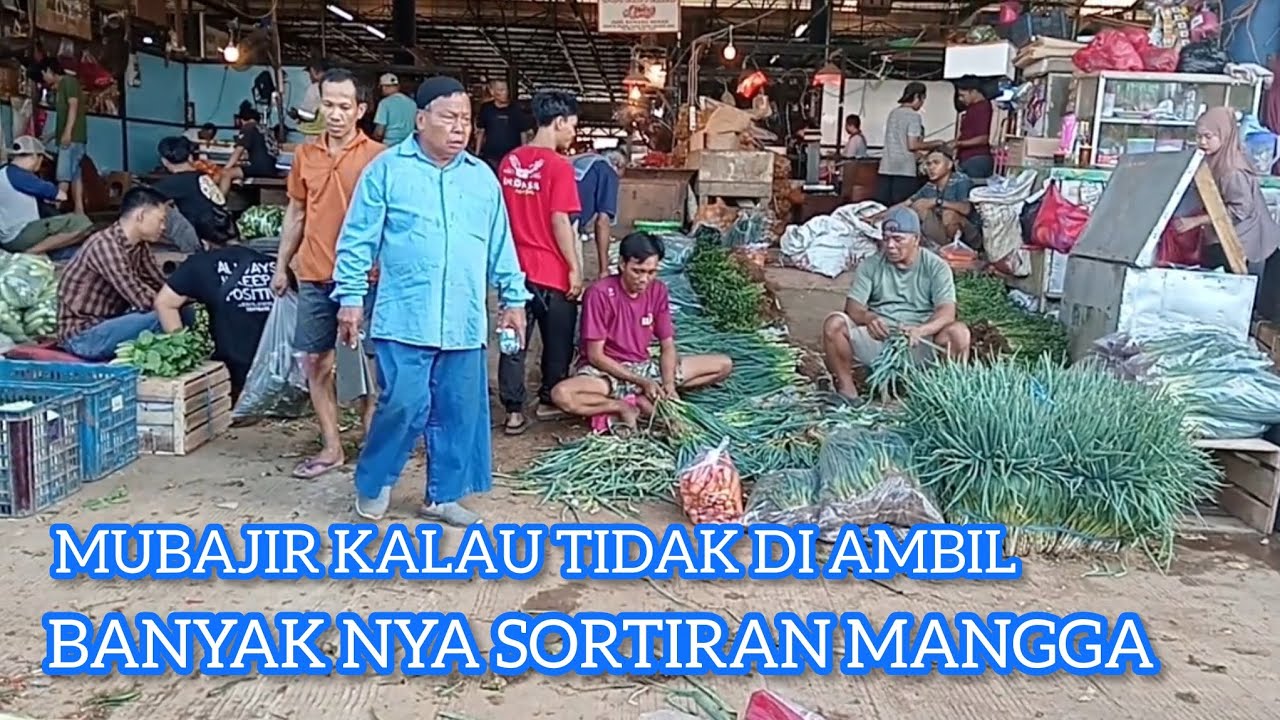 MUBAJIR KALAU TIDAK DI AMBIL || SORTIRAN MANGGA SEGINI BANYAK NYA 😫😫😭😭