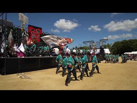 京都よさこい連 心粋 こいや祭り 2019