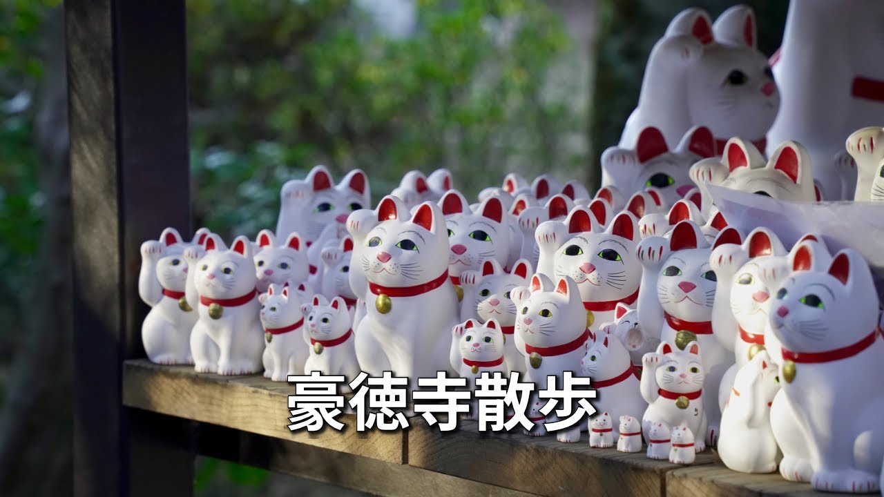 「久しぶりの豪徳寺へ！招き猫を見てゆっくり過ごす1日！」