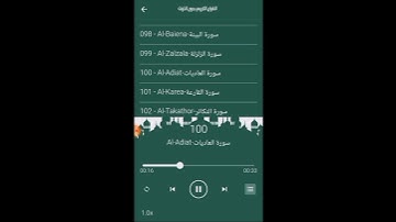 (القرآن الكريم) سورة العاديات📿❤