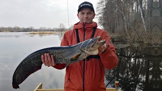 Рыбалка на судака пошла не по плану | Сом на джиг с берега by Fishing Time - Рыбалка в Беларуси 2,475 views 1 year ago 18 minutes