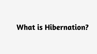 What is Hibernation  ?