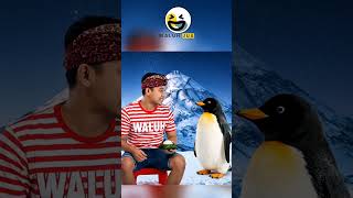 TEBAK-TEBAKAN NAMA HEWAN 13  #shortslucu #shortsviral #shortskocak #waluhjua #foryou